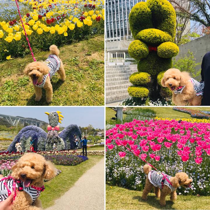 35c9d9ad 7ede 4b8a 8d90 20863a9994cd 1555855832740