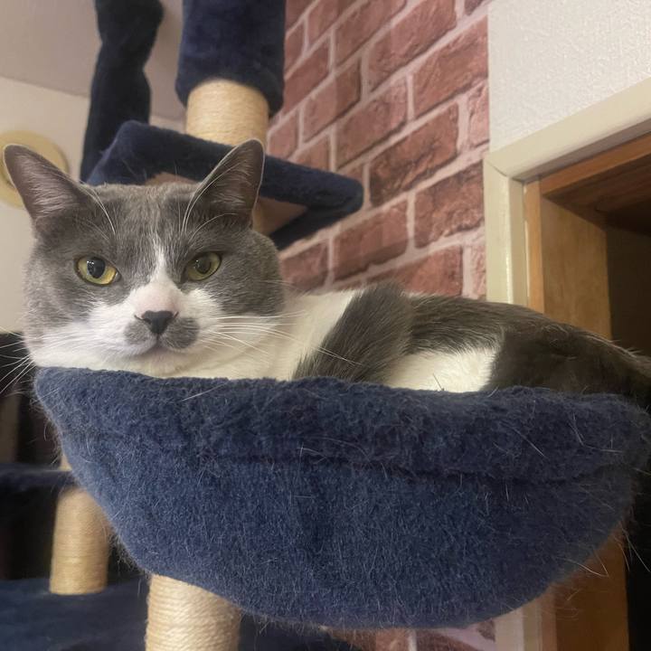 35c9f5bf fd2f 43ad ac03 85d220822db6 1647864454257