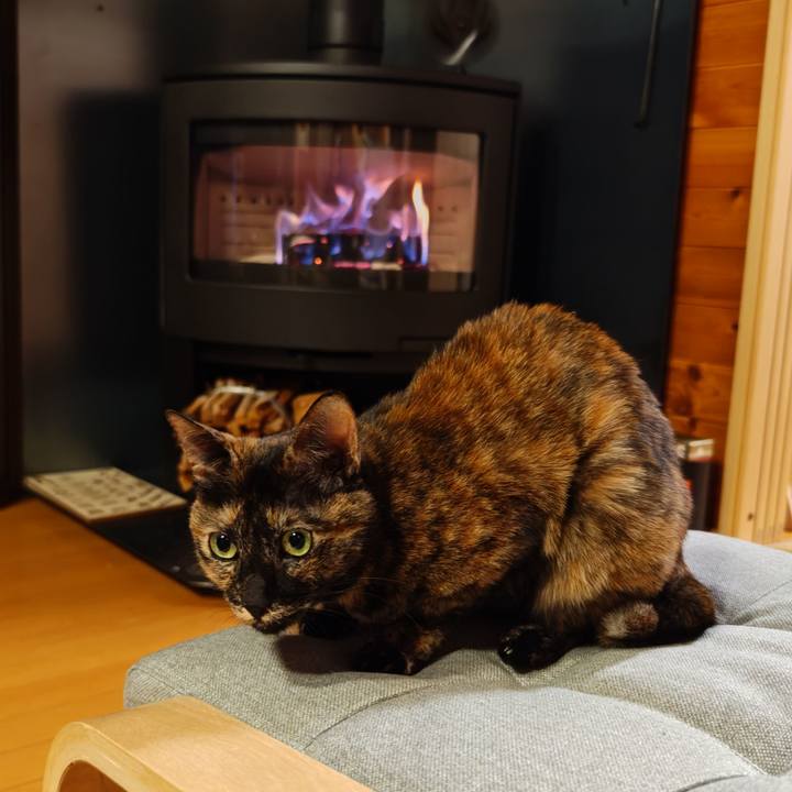 35ca3f76 f930 4e37 9b5e be21fea7dbfd 1764502641967