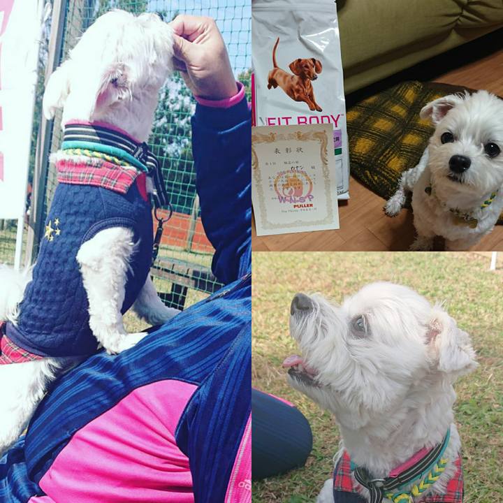 35ca7658 abd8 4fda 808c 126ef40505a8 1573298632249