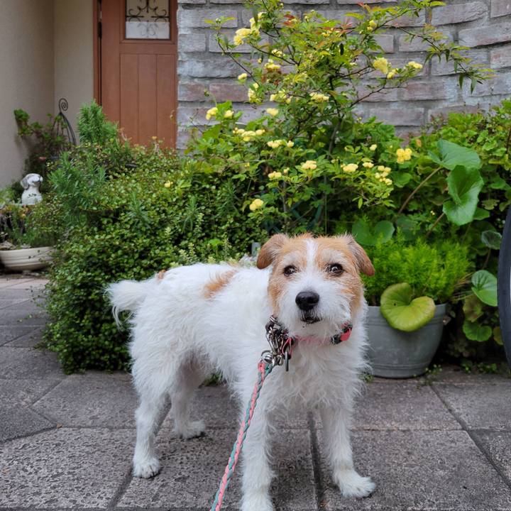 35ca8657 9d8a 44f9 9c11 3d4276bfa590 1713411162617