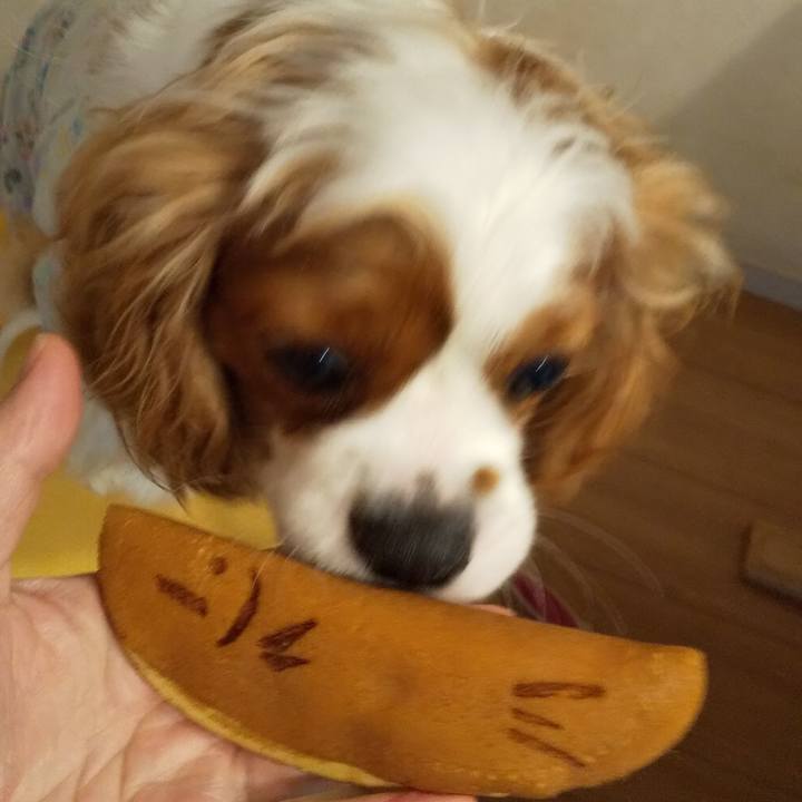 35ca9658 c82c 41ba aa77 2a0a5daeb8f2 1589687901731