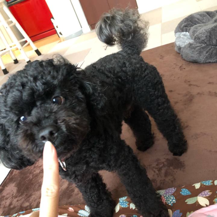 35cafb41 a882 4005 889b 6d2e64c46459 1560564490082