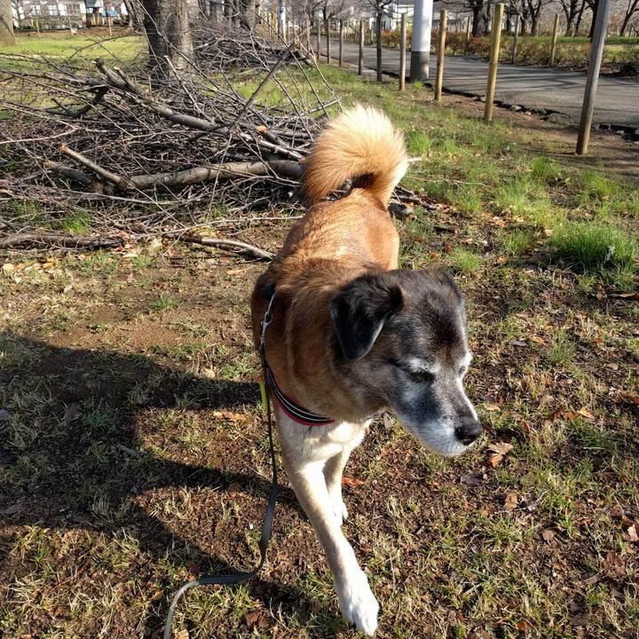 35cb3adb b974 4c8c 9a6b b85722c169af 1520992977192