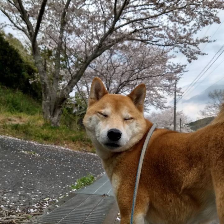 35cb5607 d5e1 40ce 995c 919c148f675b 1555241239817