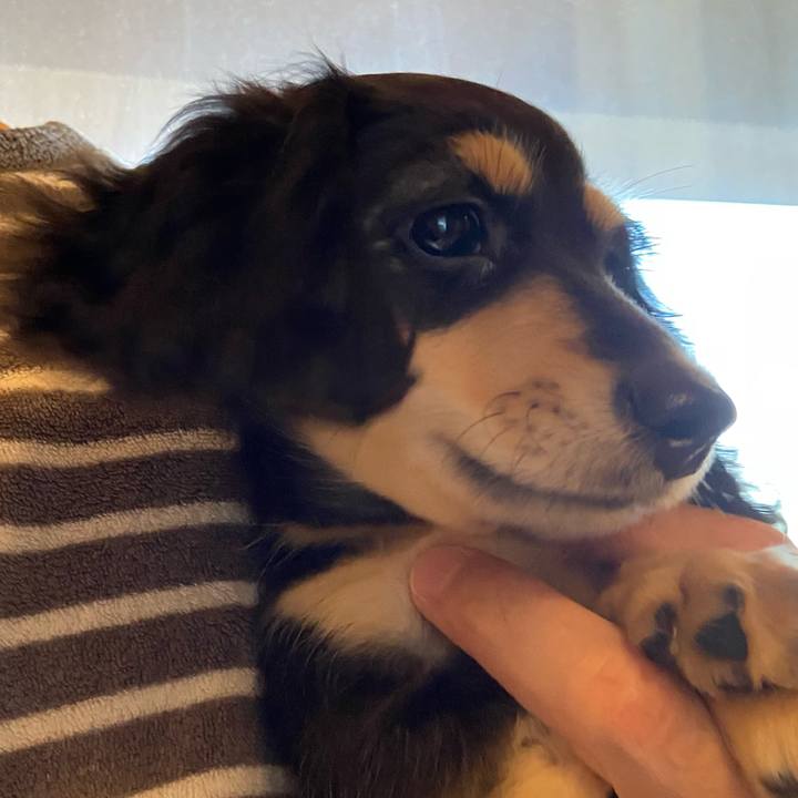 35cb766b 1f09 4cef a7f6 403983c37ddb 1666734471780