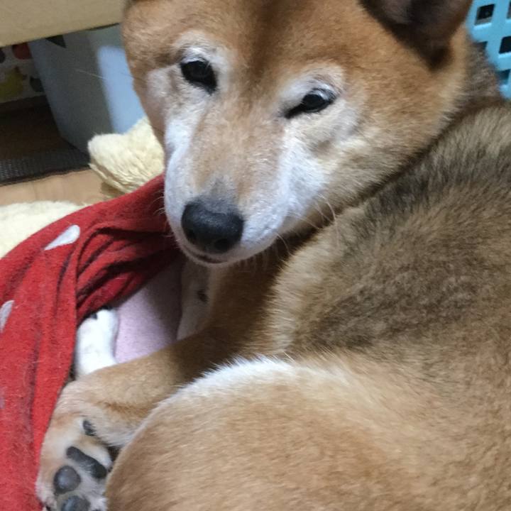 35cb9a1d dc56 48aa 9b3c aebb0b41a22e 1586950888356