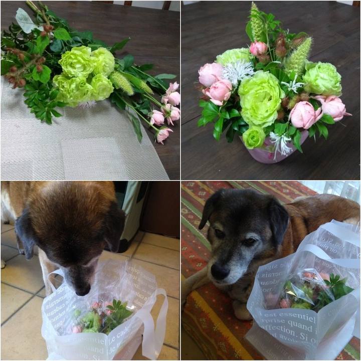 35cbb2fd 4e61 4b3f 9c62 7bb90a72e528 1562294670074