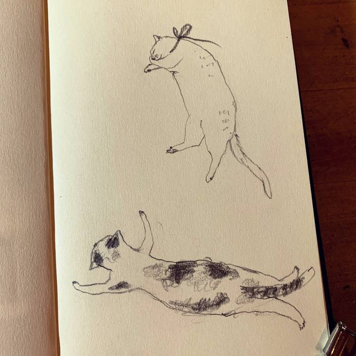 35cbc593 5cee 44ad 96d1 d28b0ce9b432 1647519887148