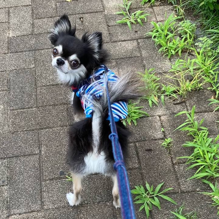 35cbf2e5 40d7 4c46 bcc0 de3141ebae9f 1718898670005