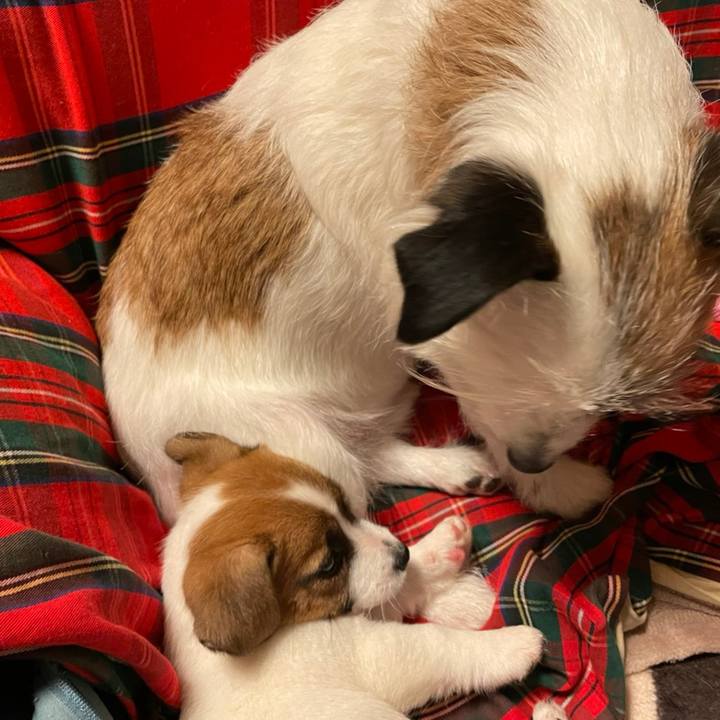 35cbfe86 1af2 4177 9d64 854c7ead9133 1614778796251