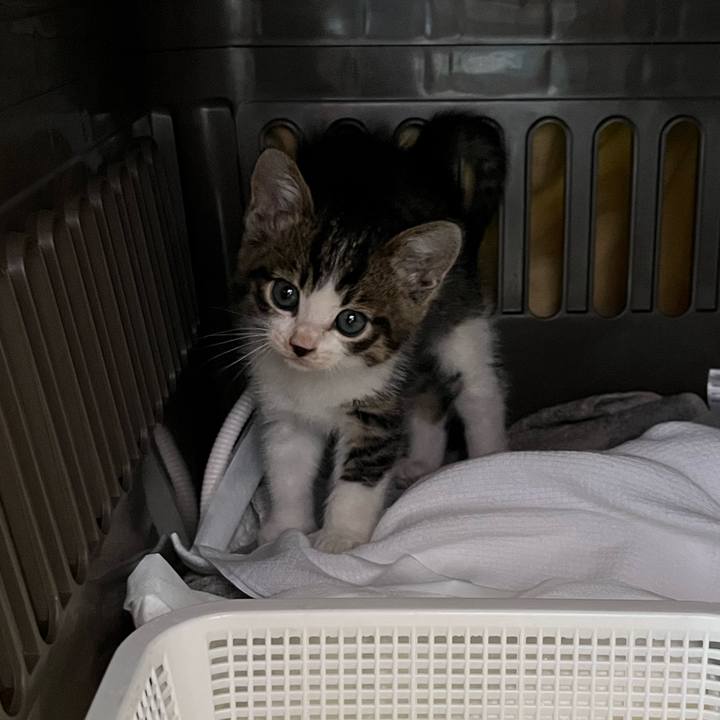 35cc2c9b 14dc 4307 9d06 1bbffa5aabf4 1763872916405