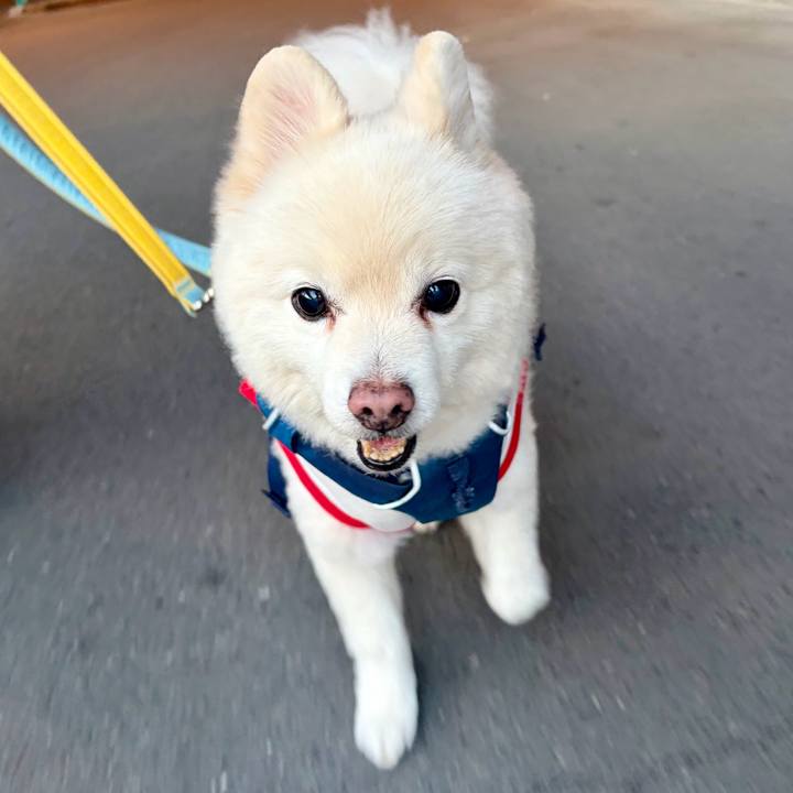 35cc615e 36a7 4aaa 80f3 b0fa9b98d277 1767259882004