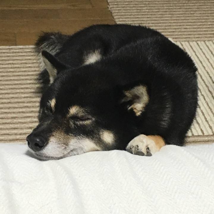 35cc6225 2359 46e7 9451 3aec76e144de 1508842585797