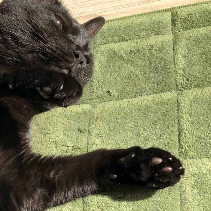 35cc86b6 f979 4331 a9d5 3d467cfa1f82 1527596806186