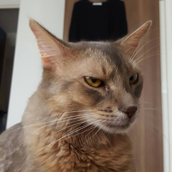 35ccd0f6 6e7c 400d 9704 8d4320af61c3 1570336972534