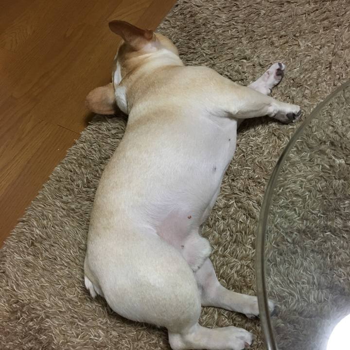 35cce09f 38d1 49ec bc74 649c5f28c69f 1514723553767