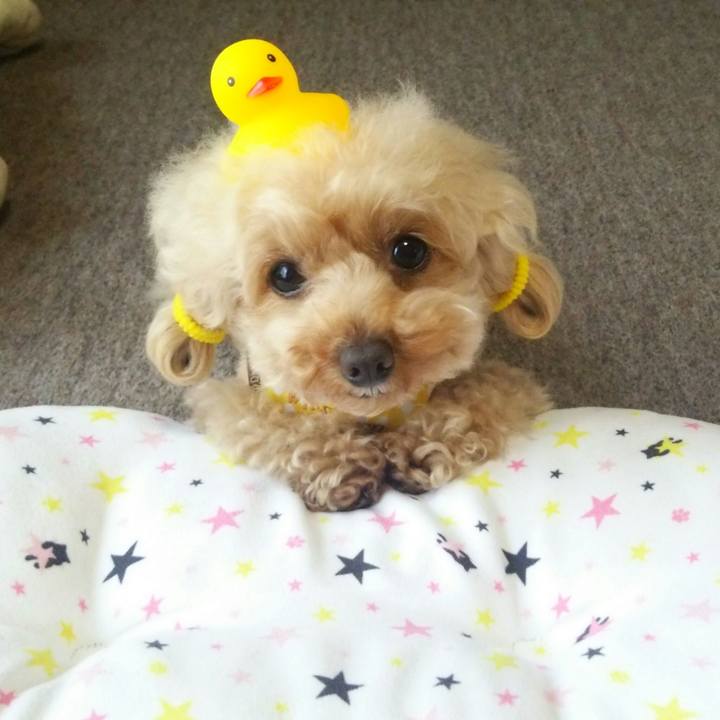 35cd0ecc 3699 4357 b448 07a4a4db6210 1557539826677