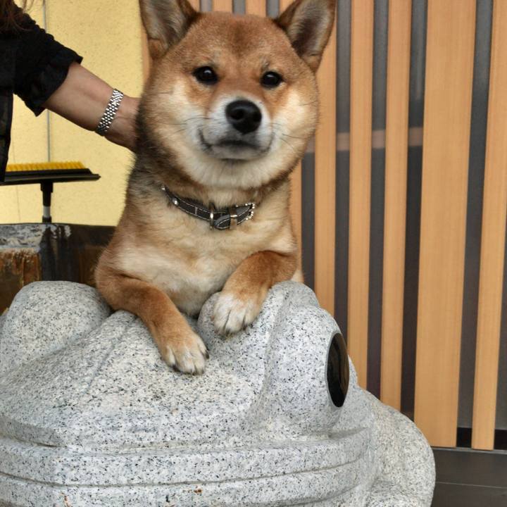 35cd3537 a947 4fb4 a66b e45be018811a 1524440608268