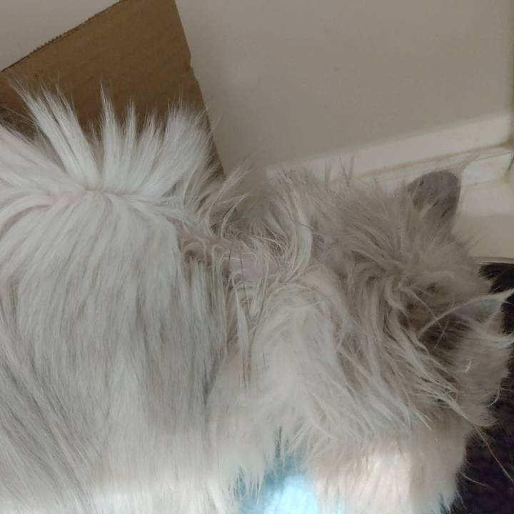 35cd50c0 9163 4d4a a046 4e34175dad99 1777780002272