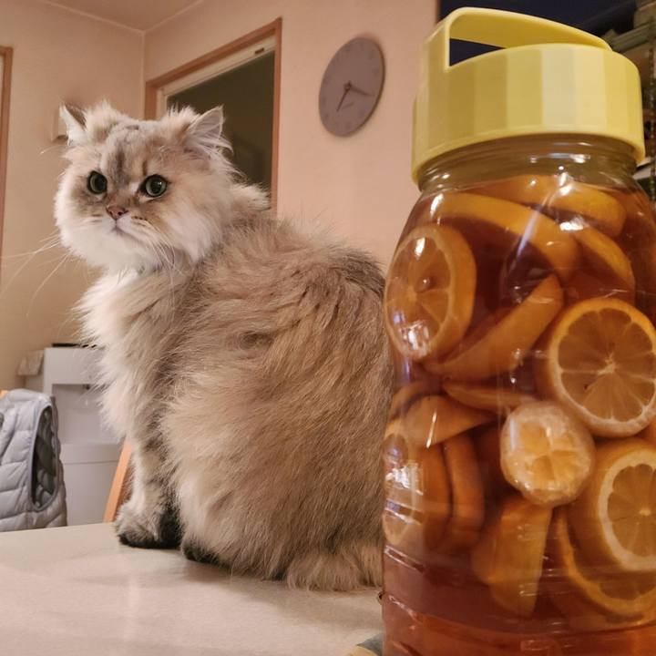 35cd8e2b f310 41be 9dd8 bab5e547bcc1 1683708399514