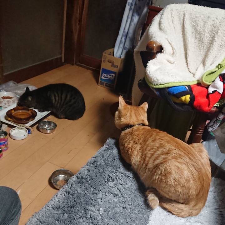 35cda3f3 ee6f 446c 8634 6b0eae24eb7a 1636234928141