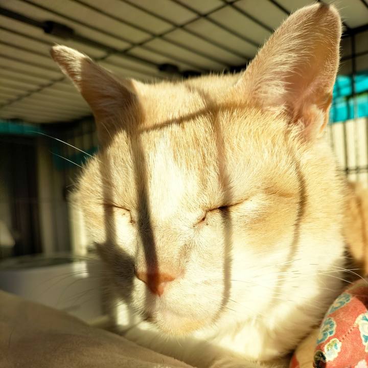 35cdaed8 07a2 4dcb 9ed1 6f056f34917f 1672701218969