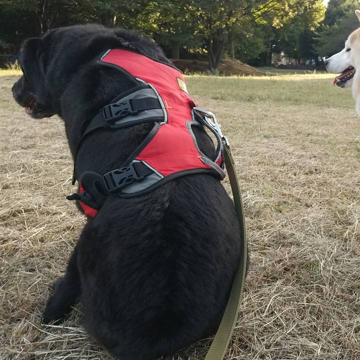 35cdb30f 348c 4259 b1b3 f53bc7f62388 1696494629737