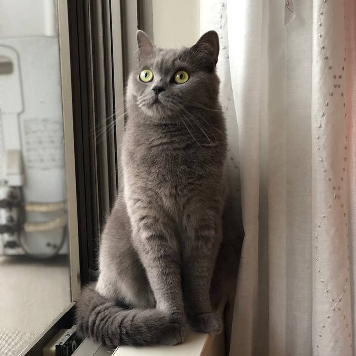 35cde5a4 0aeb 4ec1 9712 3a76eb9f20e7 1529727846381