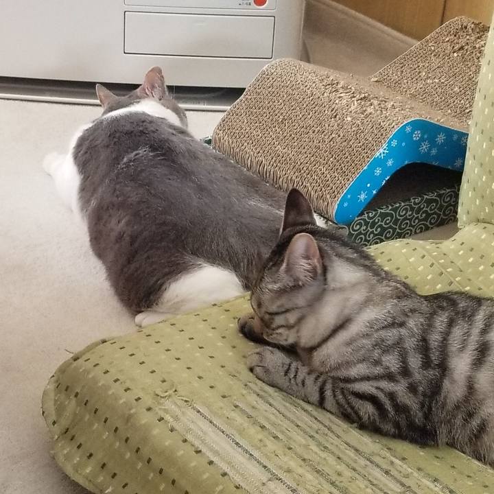 35ce0dc7 1aa3 4d72 a368 88886aa16ccc 1676812115137