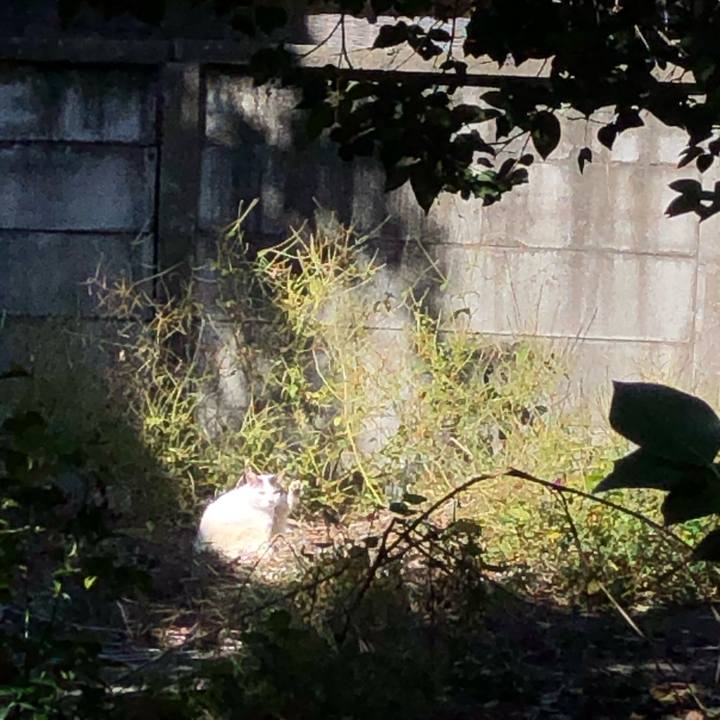 35ce26c4 5923 4457 9b76 cad1577e28b3 1604630891474