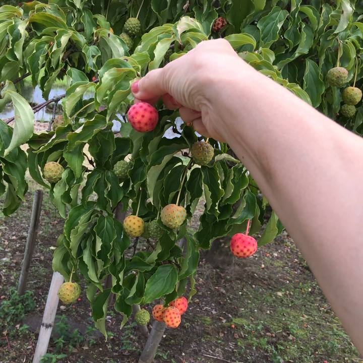 35ce8eb4 85d2 4854 893e f645b156dd17 1537076297771