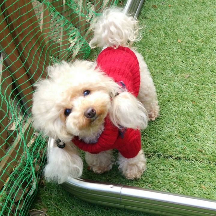 35ceacc7 f69f 4b22 a037 425c814bf100 1543392424651