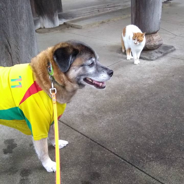 35cf05fd cdcc 4422 9417 6992ee9471f0 1563099100084