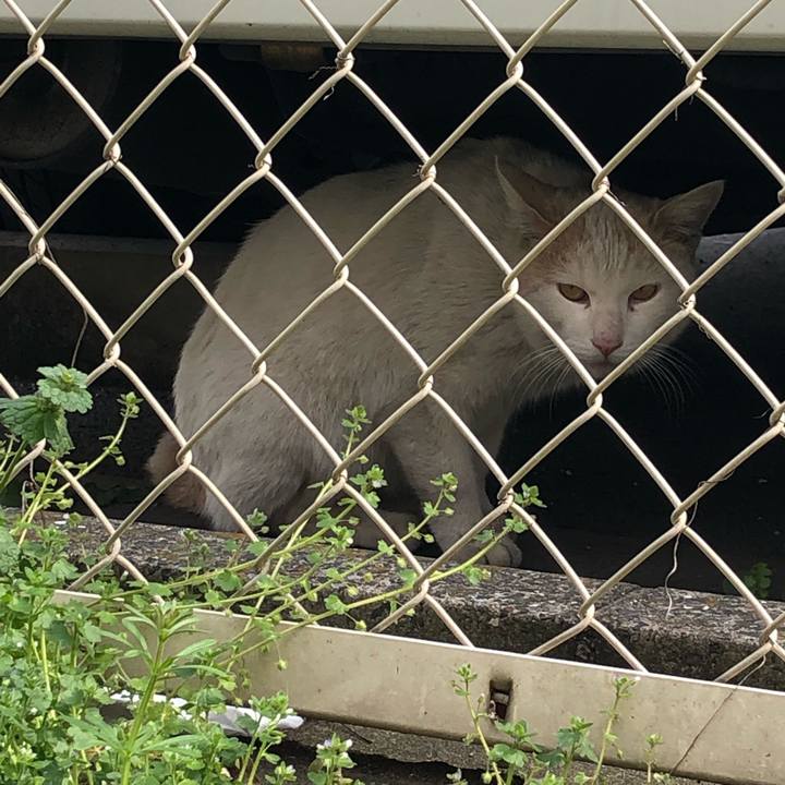 35cf31f1 b88d 49ab b30e e8a5b38e6477 1553088583723