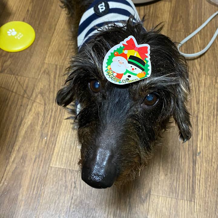 35cf45ea e3cf 4e9a b3ab f2db103e0a17 1577198483764