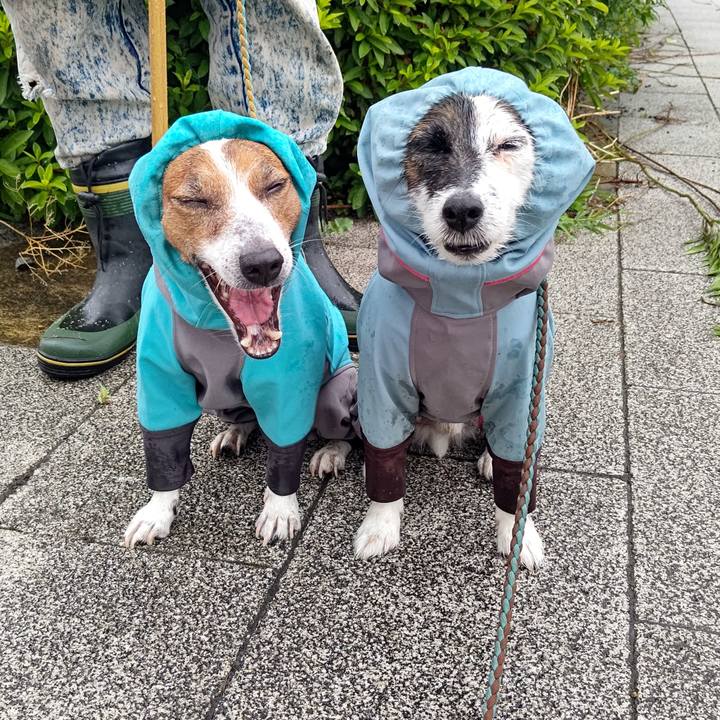 35cf8315 f43c 4191 b5b3 bfab8d3f42a5 1719524824094