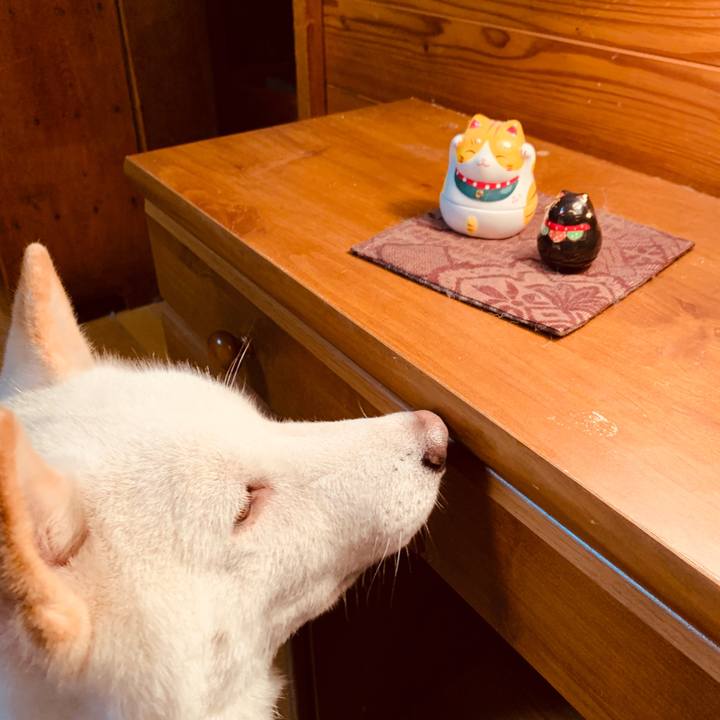 35cfb5d6 cc5a 4a7e ac8a 70a61bde6e1a 1565385693552