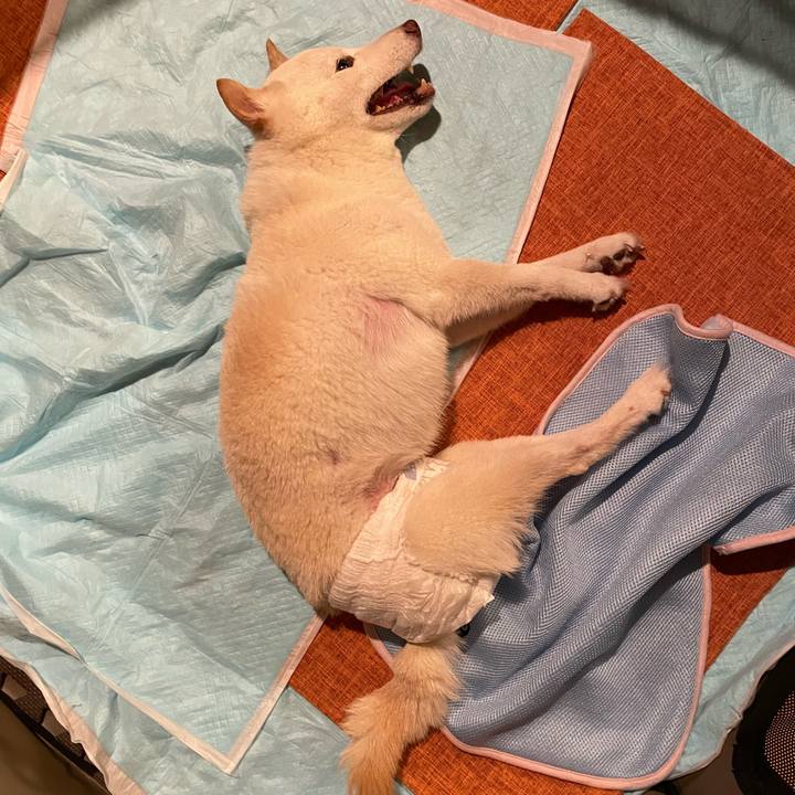 35cfb988 f832 4bbd a38c fe76be77446c 1664895098964