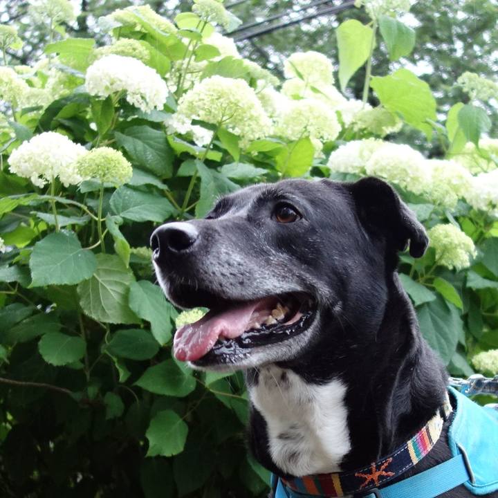 35cfff95 a75b 43be 9af7 dd8bd9b49587 1716890836061