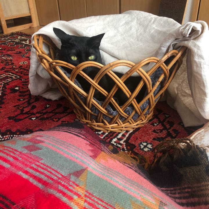 35d003a6 cb4b 414e 834a b94e2f39d070 1578024664846