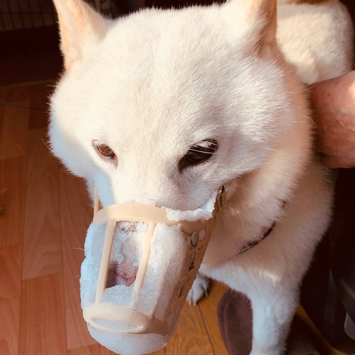 35d003c3 c3c6 465c 810d e2d44fde387e 1643348857792