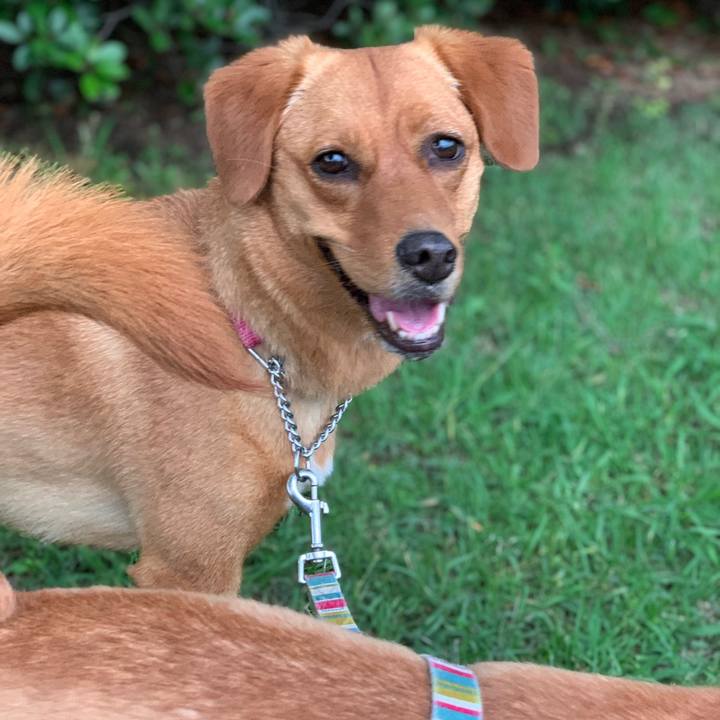 35d00493 ab61 458d 9686 c56ad0075eae 1560373652185