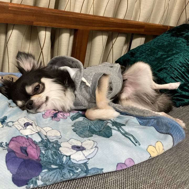 35d004c5 fe35 44d0 8367 8f65529942ea 1641131557471