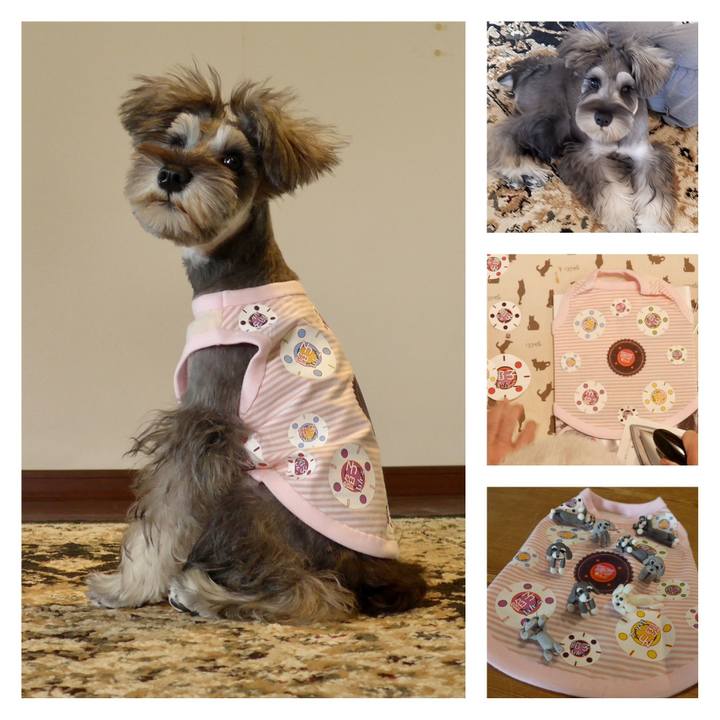 35d032a8 d086 492d 8efc 2f6e08301960 1699098203764