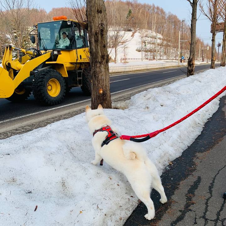 35d04e82 fa49 4349 91c1 b30ef1bab08b 1678919689531