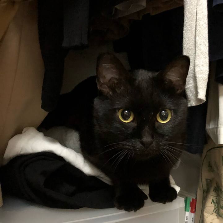 35d05f8a a63a 4248 acd2 c3824b9d53ca 1510753104168