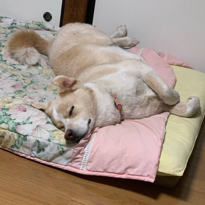 35d06299 eb9e 494c aedd af442b738031 1567514344534