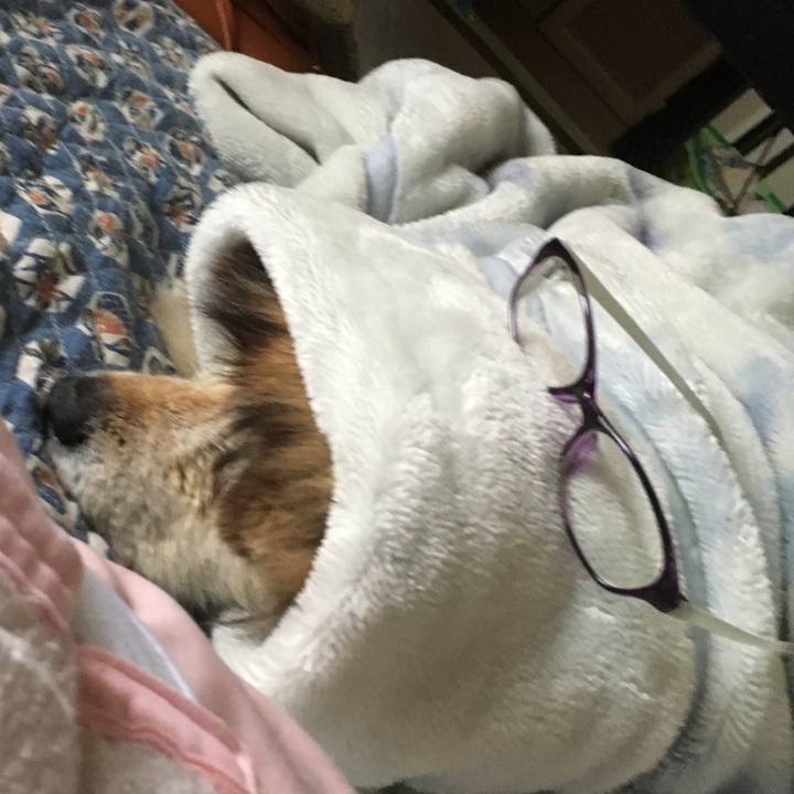 35d0840c b1f6 4a78 9fe8 17e6d959a6e8 1610336825784