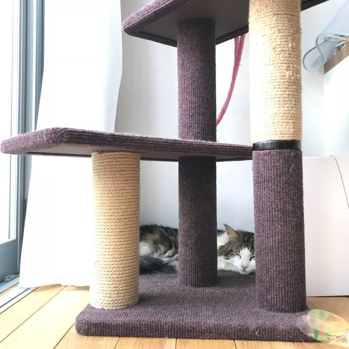 35d08fe7 86b5 45f0 a06b 4c55276d1c8b 1532480891494